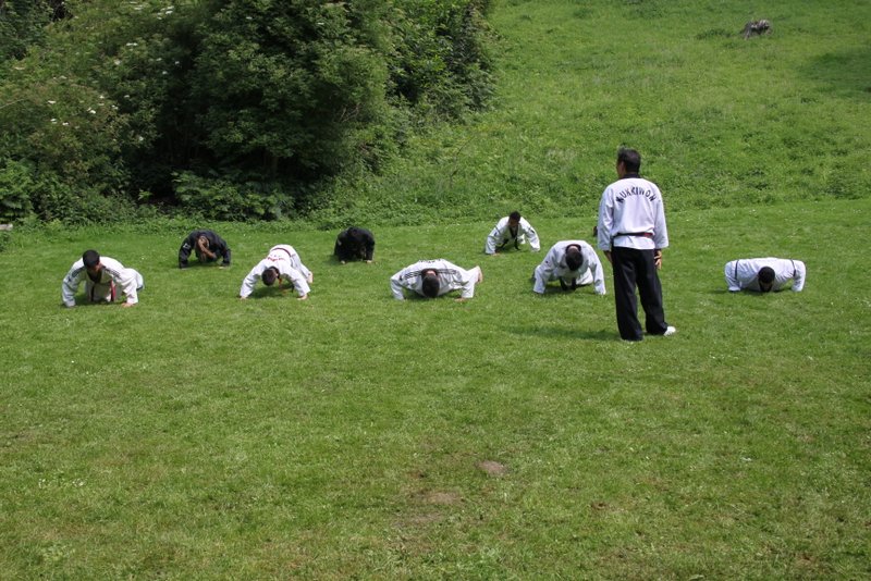 Stage d'été 2013