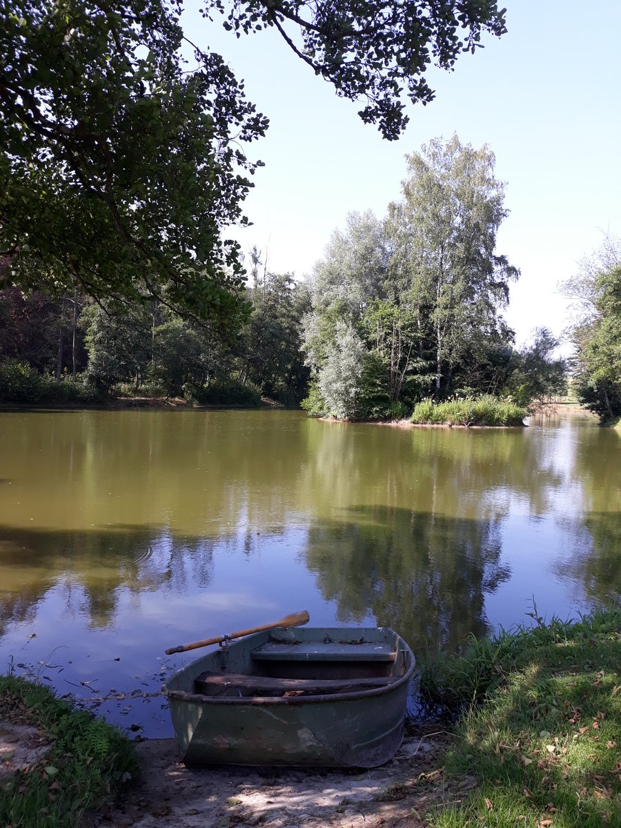 Stage d'été 2018 (531)